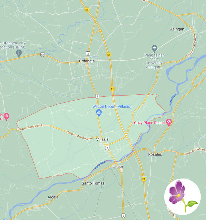 Tin's Flower Shop Flowers Delivered to Villasis in Pangasinan FREE